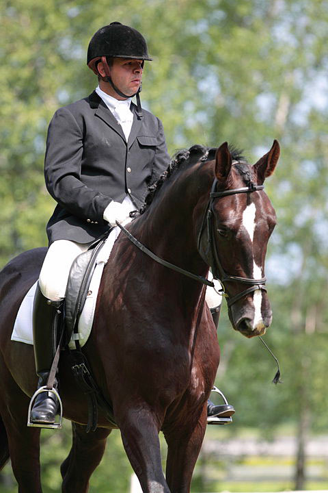 Oswaldo Lazurri Dressage Queenswood Stables