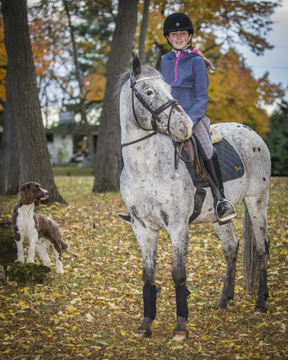 Dressage Training Lessons Queenswood Stables