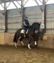 Naldo Dressage
