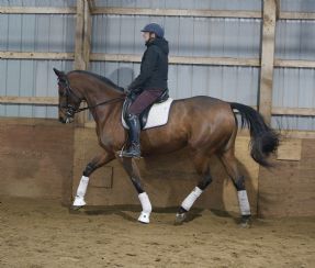Nina Simone Dressage