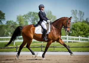 2014 CADORA National Award Winners - Advanced level