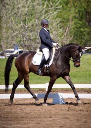 2014 CADORA National Award Winners - First Level